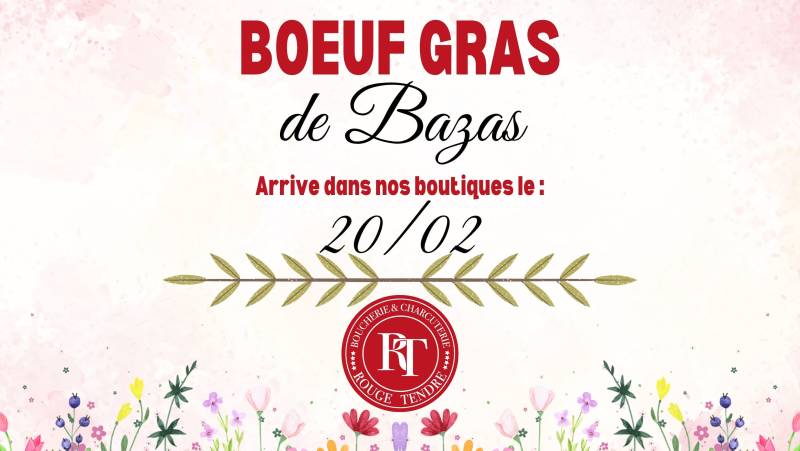 Bœuf Gras de Bazas: Une Tradition Gourmande et Festive